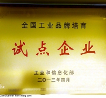 试点企业